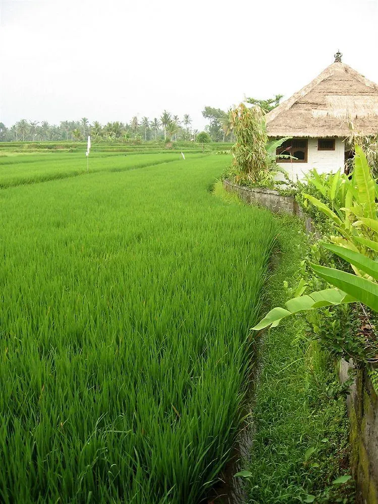 Village de vacances Terang Bulan Cottages Ubud