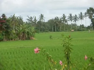 ** Village de vacances Terang Bulan Cottages Ubud Indonésie